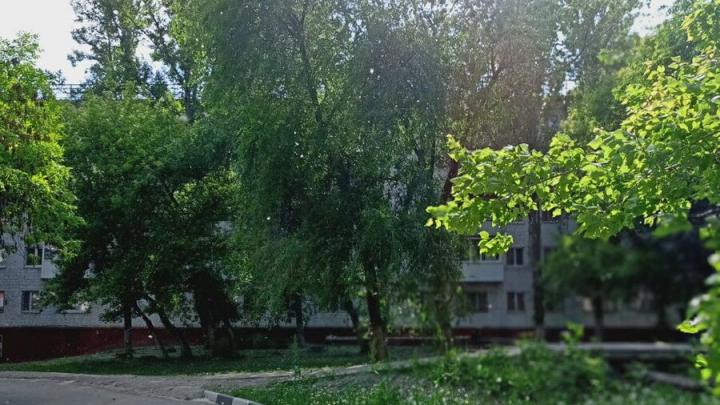 Бабье лето в Саратовской области: синоптики рассказали, куда уйдёт дождь в выходные