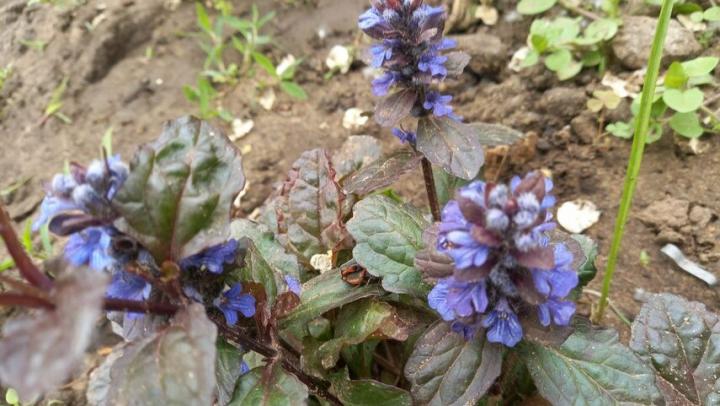 78 процентов жителей Саратова считают себя счастливыми