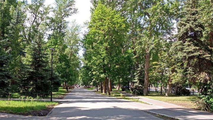 Саратовскую область ждет аномальное тепло всю неделю и гроза в субботу