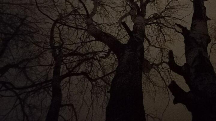 В Балаково пьяная женщина стала жертвой ночного грабителя