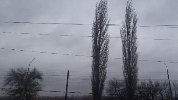 В Саратовской области ожидается дождь