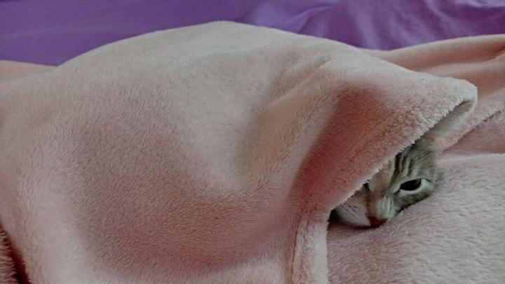 Губернатор назвал дату начала отопления в Саратовской области