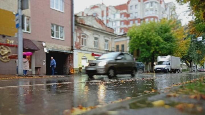 В Саратовской области в выходные обещают заморозки и дожди