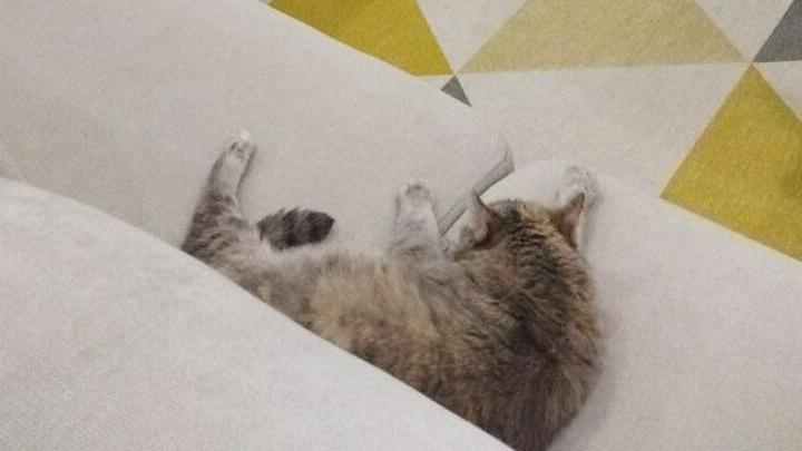 В Саратове 91 соцобъект подключен к теплу 