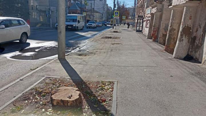 У усадьбы Тюльпиных в Саратове срубили несколько деревьев