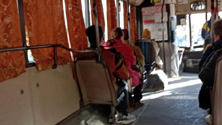 В Саратовской области пустили новый автобусный маршрут до села Березняки