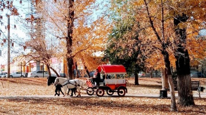 В Саратове до +20, но ночью заморозки