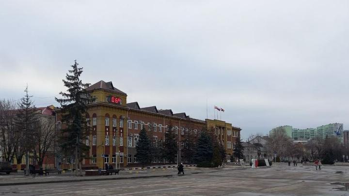 В Энгельсе на закупку новых деревьев и кустарников потратят более 2 млн рублей