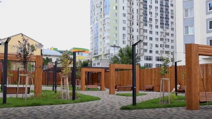 Вячеслав Володин раскритиковал саратовских чиновников за деревья из Москвы