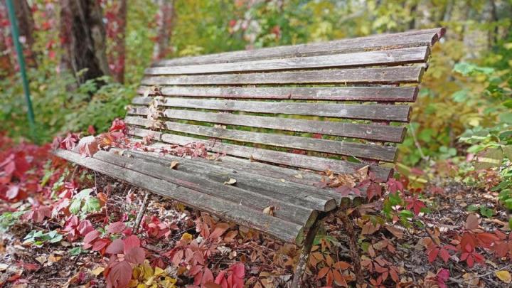 В Саратове воздух прогреется до +20 градусов