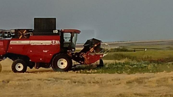 Комбайн полыхал под Балашовом