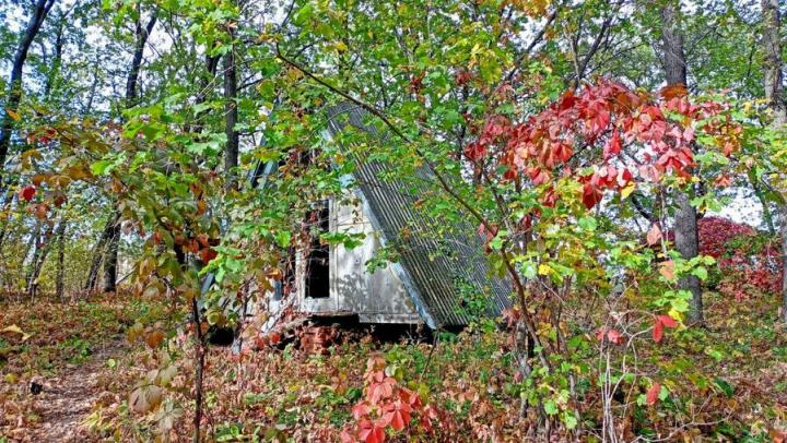 Депутат: детские лагеря в Саратовской области лучше немецких