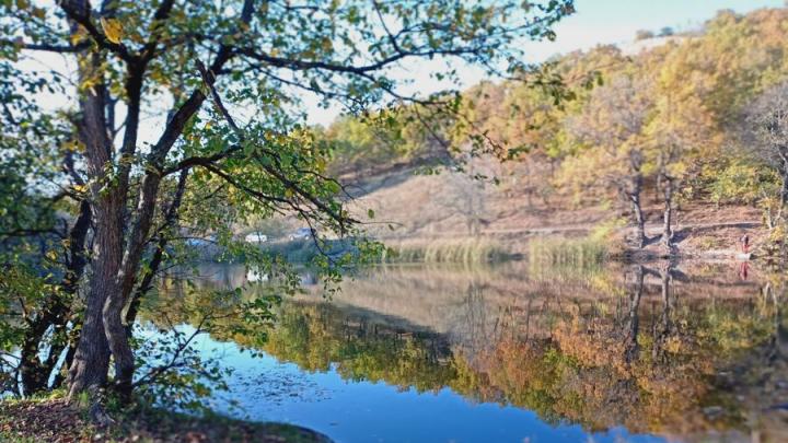 Туман и до +20: саратовцев ждет контрастный день