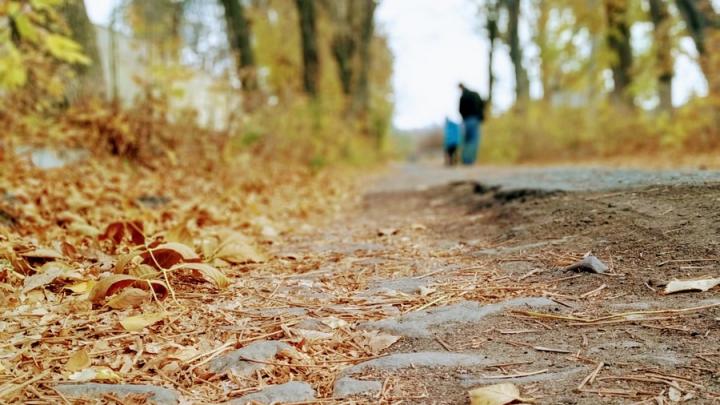 Пасмурные выходные с дождями ожидаются в Саратове