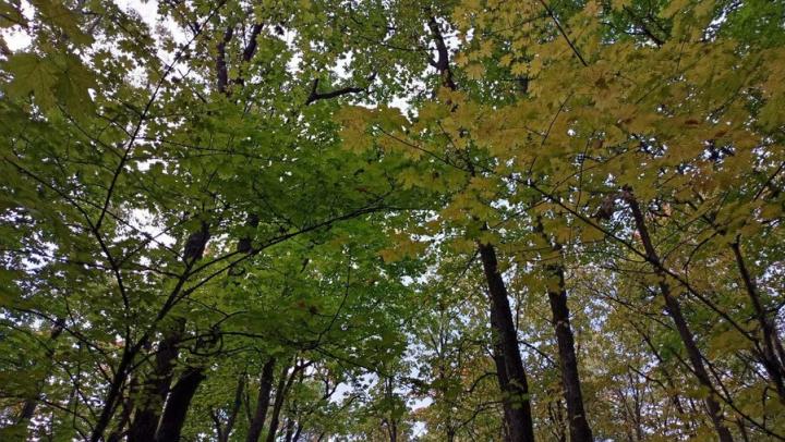 Саратовские браконьеры причинили ущерб природе на 5 млн рублей