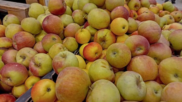 «Мурыжат, мурыжат, мурыжат»: замминистра раскритиковал сети за отказы саратовским фермерам