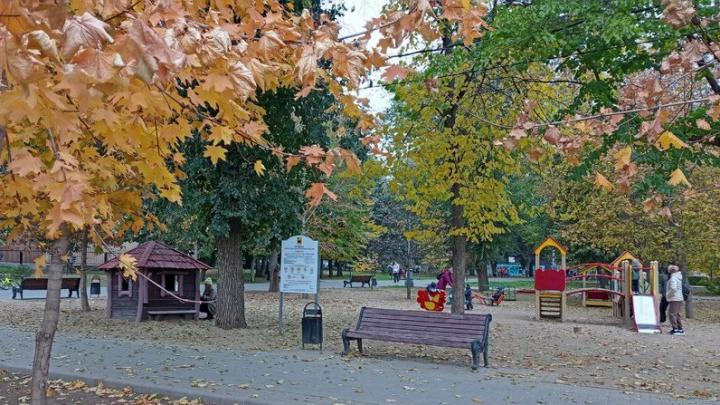 Осенние каникулы у саратовских школьников продлятся девять дней