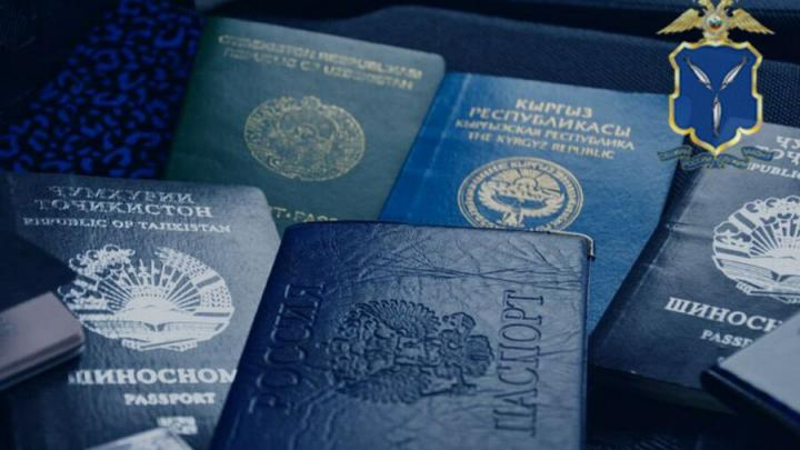 Саратовская пенсионерка стала уголовницей из-за мигранта