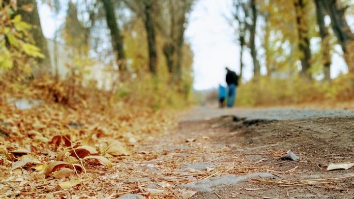 Небольшой дождь прогнозируют в Саратовской области