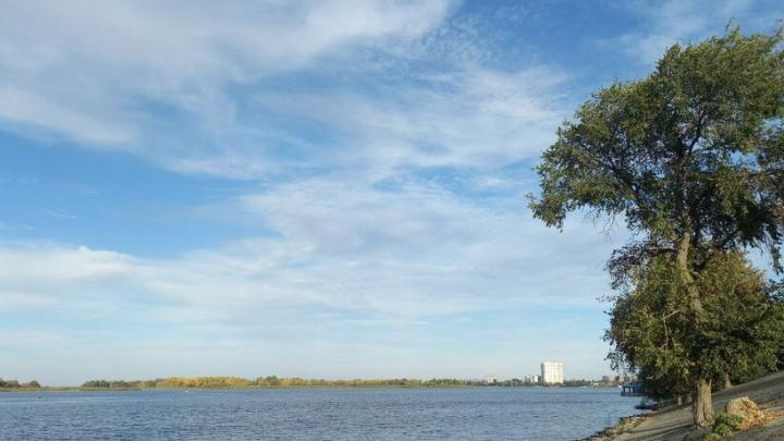 В Саратовской области прогнозируется дождь и слабый снег