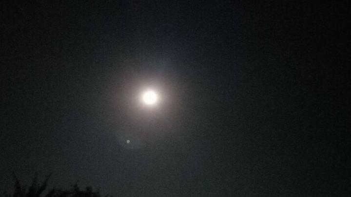 Ночью над Саратовской областью было уничтожено 12 беспилотников