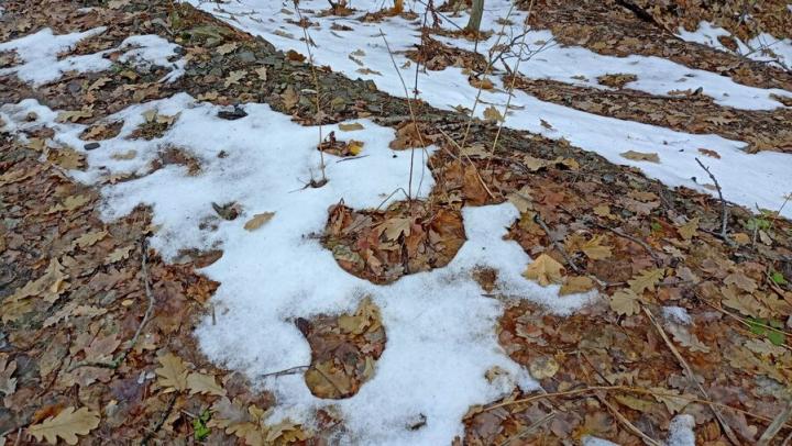 Морозы до -5 градусов ожидаются в Саратовской области ночью