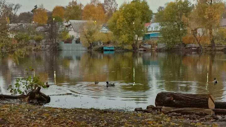 В Саратове небольшой дождь