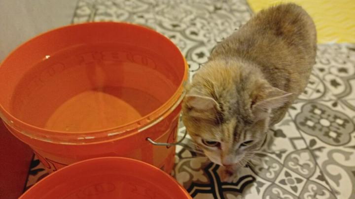 Массовое отключение воды настигнет Заводской район: названы улицы и даты