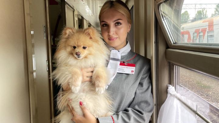 Саратовцы чаще стали отправлять в путешествия на поезде домашних животных