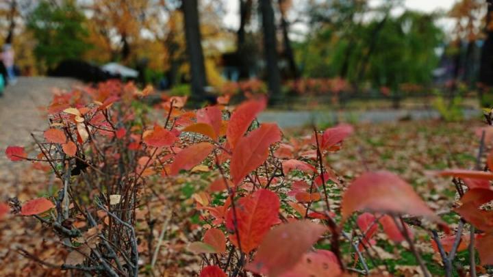 В Саратове ночью теплее, чем днём