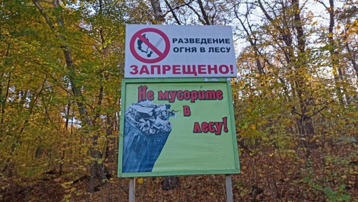 В Саратовской области сняли запрет на посещение лесов