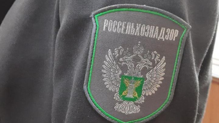 Россельхознадзор выявил «липовые» декларации на саратовское зерно