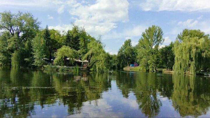  Саратовский горпарк: привычную инфраструктуру обещают вернуть к середине ноября