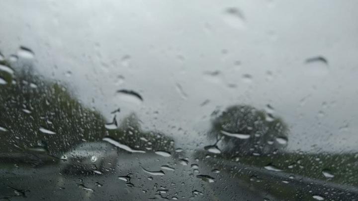 В Саратовской области в выходные ожидаются дожди