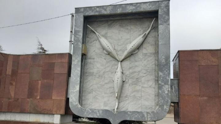 Саратовцы осенью стали чаще искать работу