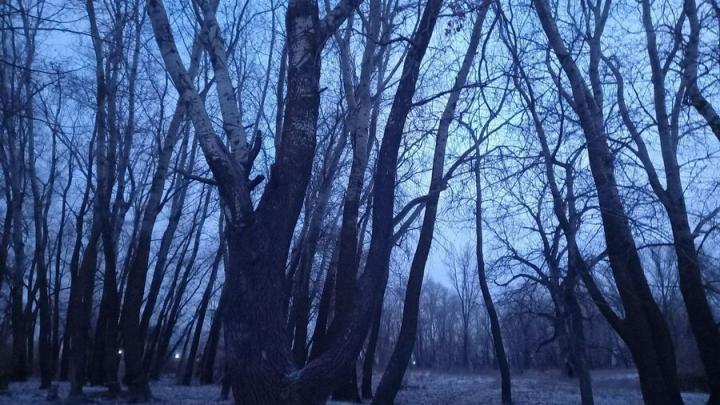 В Саратовской области прогнозируется пасмурный день с дождем