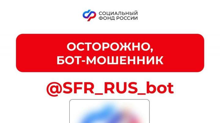 Социальный фонд предупредил саратовцев о боте-мошеннике