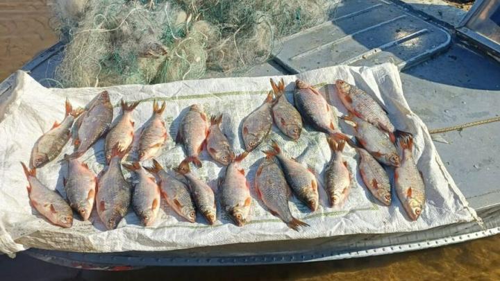 За две недели инспектора рыбоохраны изъяли у саратовских браконьеров 27 кг улова