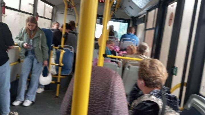 Лишь 10 процентов саратовцев продлят «ноябрьские праздники»