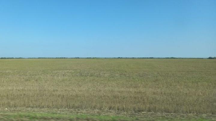 Саратовская область экспортировала 440 тысяч тонн сельскохозяйственных культур