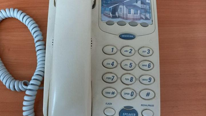 В Роспотребнадзоре Саратовской области начала работу «горячая линия» по противодействию коррупции