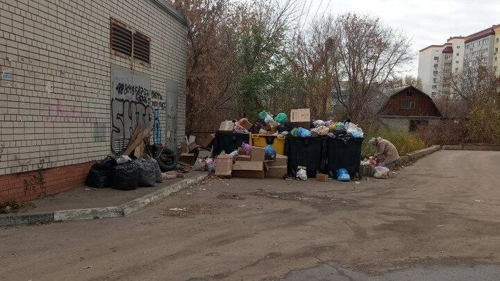 В Энгельсе «забывают» вывозить мусор с контейнерной площадки
