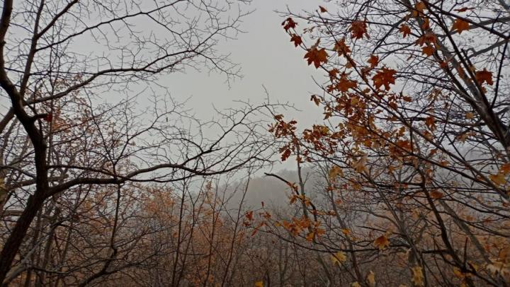 Пасмурные выходные с дождями ожидаются в Саратовской области