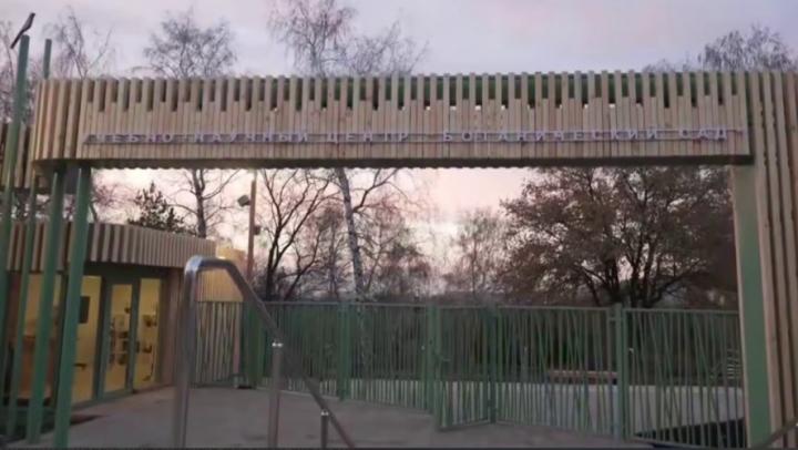 Ботанический сад СГУ в Саратове открывается после ремонта