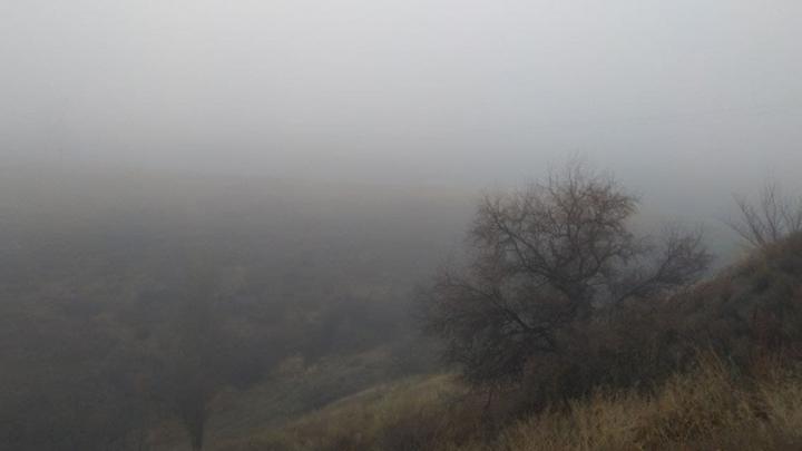 Туман окутает Саратовскую область
