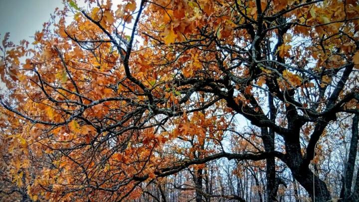 Погода на неделю в Саратовской области: готовим зонты и теплые куртки