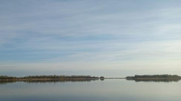 В Саратовской области прогнозируется слабый дождь