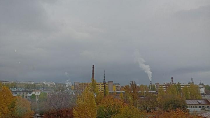 Финансовый результат организаций Саратовской области вырос за август