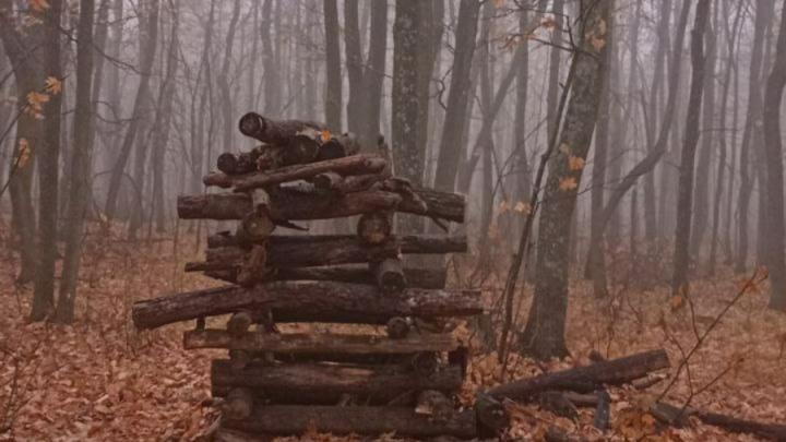 Пасмурная погода и дожди ожидаются в Саратовской области