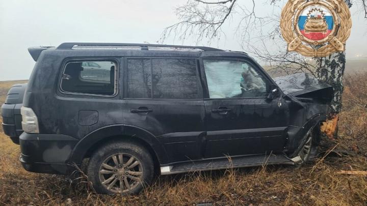 Иномарка слетела с дороги врезалась в дерево у саратовского села